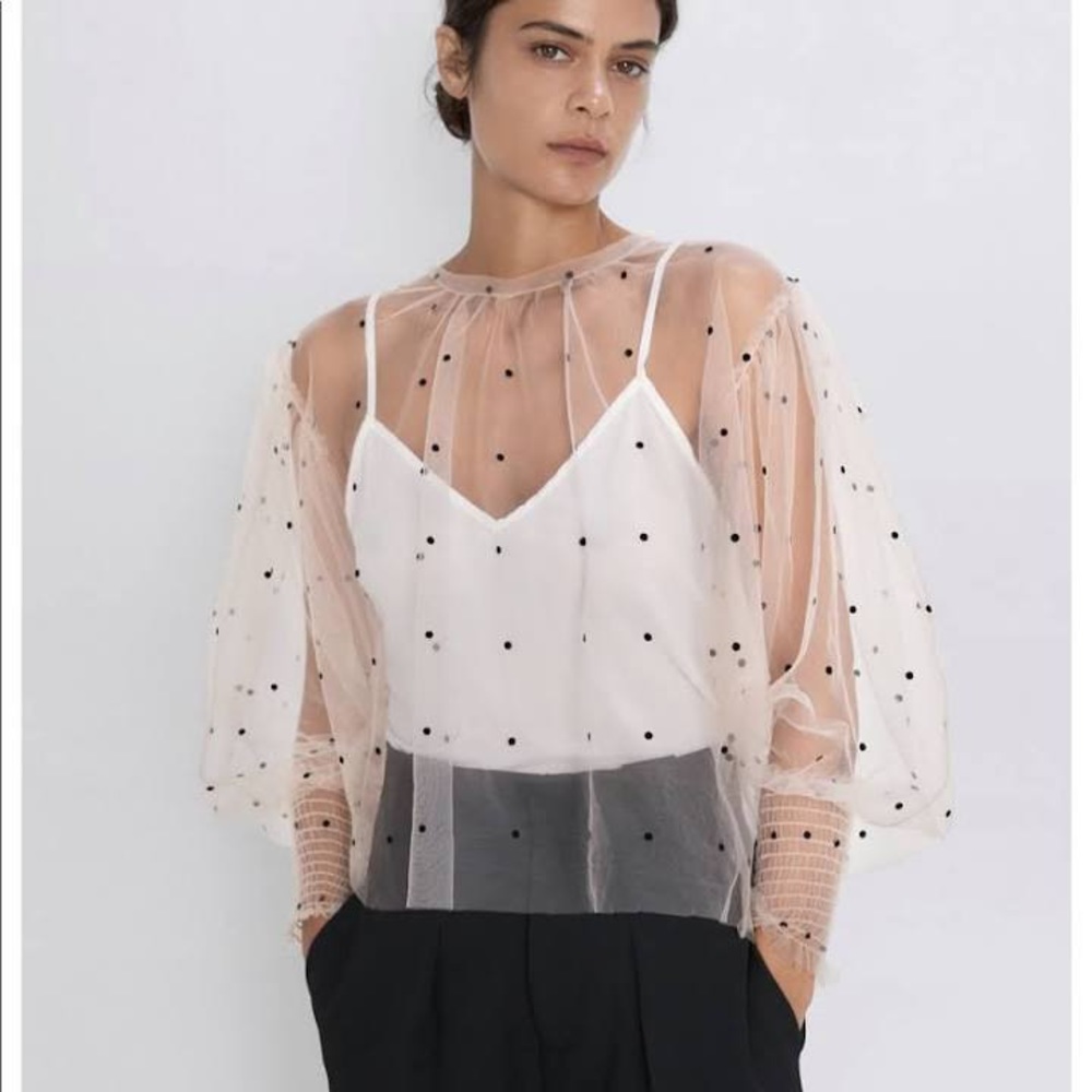 ISO!!! Sheer dot lace blouse from Zara